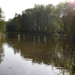 Etang de pêche au Parc Charles Fenain de Douai dans le Nord