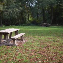 Etang de pêche au Parc Charles Fenain de Douai dans le Nord