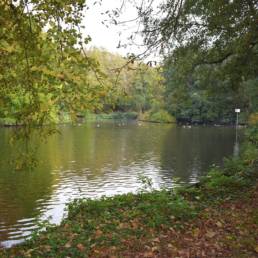 Etang de pêche au Parc Charles Fenain de Douai dans le Nord