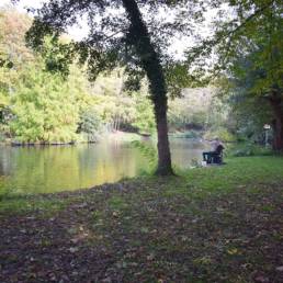 Etang de pêche au Parc Charles Fenain de Douai dans le Nord