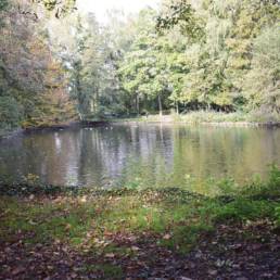 Etang de pêche au Parc Charles Fenain de Douai dans le Nord
