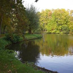 Etang de pêche au Parc Charles Fenain de Douai dans le Nord