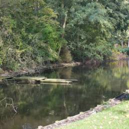 Etang de pêche au Parc Charles Fenain de Douai dans le Nord