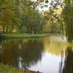 Etang de pêche au Parc Charles Fenain de Douai dans le Nord