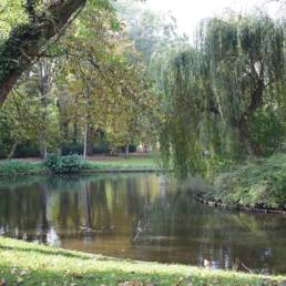 Etang de pêche au Parc Charles Fenain de Douai dans le Nord
