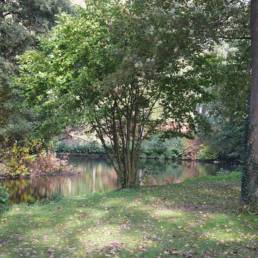 Etang de pêche au Parc Charles Fenain de Douai dans le Nord
