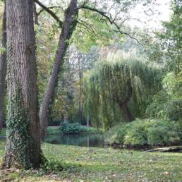 Etang de pêche au Parc Charles Fenain de Douai dans le Nord