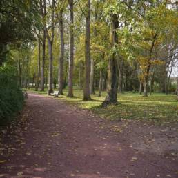 Etang de pêche au Parc Charles Fenain de Douai dans le Nord