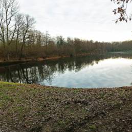 Etang de la gare d'eau à Vieux Condé dans le Nord