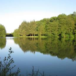 Etang de la forge à Glageon dans le Nord