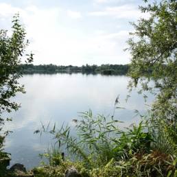 Etang d'Amaury à Hergnies dans le Nord