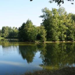 Etang de pêche du Flaquet à Ors dans le Nord