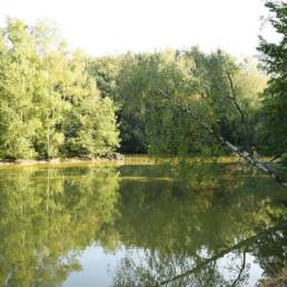 Etang de pêche du Flaquet à Ors dans le Nord