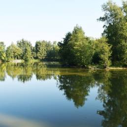 Etang de pêche du Flaquet à Ors dans le Nord