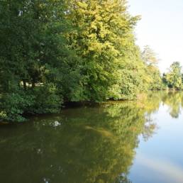Etang de pêche du Flaquet à Ors dans le Nord