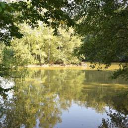 Etang de pêche du Flaquet à Ors dans le Nord