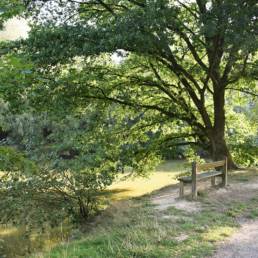 Etang de pêche du Flaquet à Ors dans le Nord