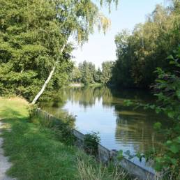 Etang de pêche du Flaquet à Ors dans le Nord