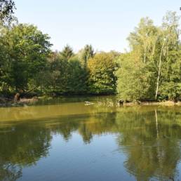 Etang de pêche du Flaquet à Ors dans le Nord