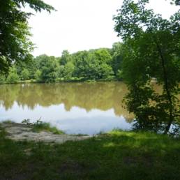 Etang de pêche du Flaquet à Ors dans le Nord