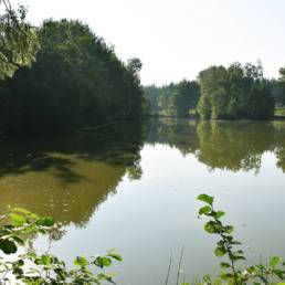 Etang de pêche du Flaquet à Ors dans le Nord