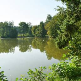 Etang de pêche du Flaquet à Ors dans le Nord
