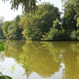 Etang de pêche du Flaquet à Ors dans le Nord