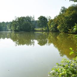 Etang de pêche du Flaquet à Ors dans le Nord