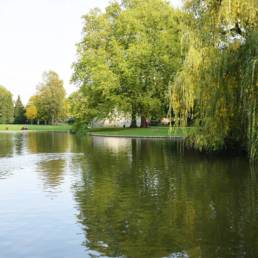 Etang de pêche du Parc de la Tour des Dames à Douai dans le Nord