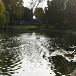 Etang de pêche du Parc de la Tour des Dames à Douai dans le Nord