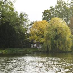 Etang de pêche du Parc de la Tour des Dames à Douai dans le Nord