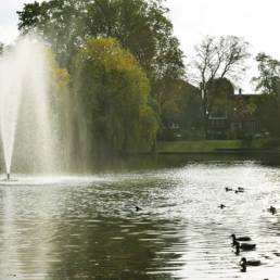 Etang de pêche du Parc de la Tour des Dames à Douai dans le Nord