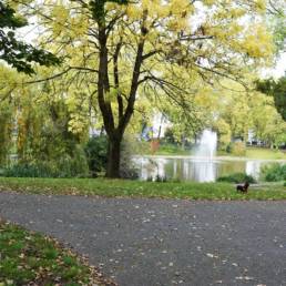 Etang de pêche du Parc de la Tour des Dames à Douai dans le Nord
