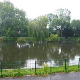 Etang de pêche du Parc de la Tour des Dames à Douai dans le Nord