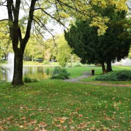 Etang de pêche du Parc de la Tour des Dames à Douai dans le Nord