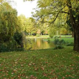 Etang de pêche du Parc de la Tour des Dames à Douai dans le Nord