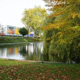 Etang de pêche du Parc de la Tour des Dames à Douai dans le Nord