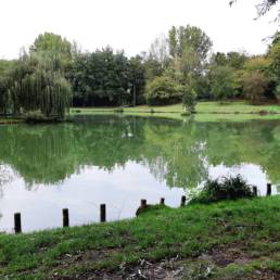 étang de pêche du parc de l'Aunelle à Quievrechain dans le Nord