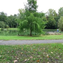 étang de pêche du parc de l'Aunelle à Quievrechain dans le Nord