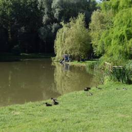 étang de pêche du parc de l'Aunelle à Quievrechain dans le Nord
