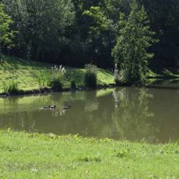 étang de pêche du parc de l'Aunelle à Quievrechain dans le Nord