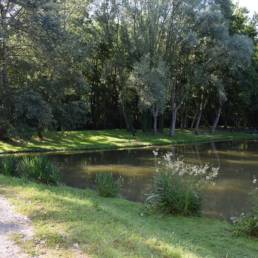 étang de pêche du parc de l'Aunelle à Quievrechain dans le Nord