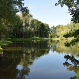 étang de pêche du parc de l'Aunelle à Quievrechain dans le Nord