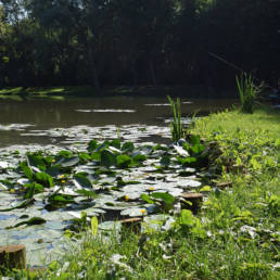 étang de pêche du parc de l'Aunelle à Quievrechain dans le Nord