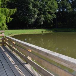 étang de pêche du parc de l'Aunelle à Quievrechain dans le Nord