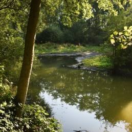 Etang de pêche du Prussien à Raismes dans le Nord