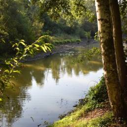 Etang de pêche du Prussien à Raismes dans le Nord