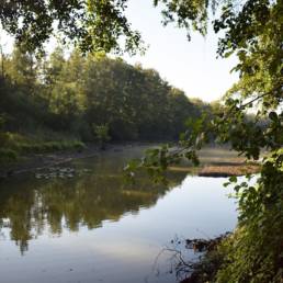 Etang de pêche du Prussien à Raismes dans le Nord