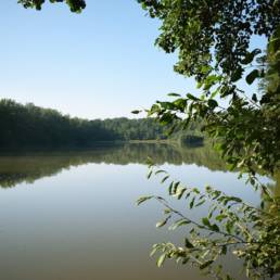 Etang de pêche du Prussien à Raismes dans le Nord