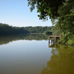 Etang de pêche du Prussien à Raismes dans le Nord